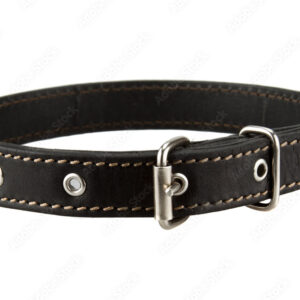 Black leather dog collar isolated on white background