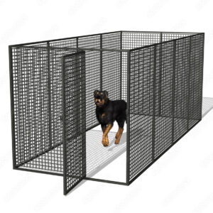 dog in kennel