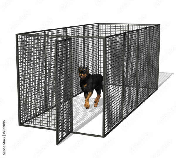 dog in kennel